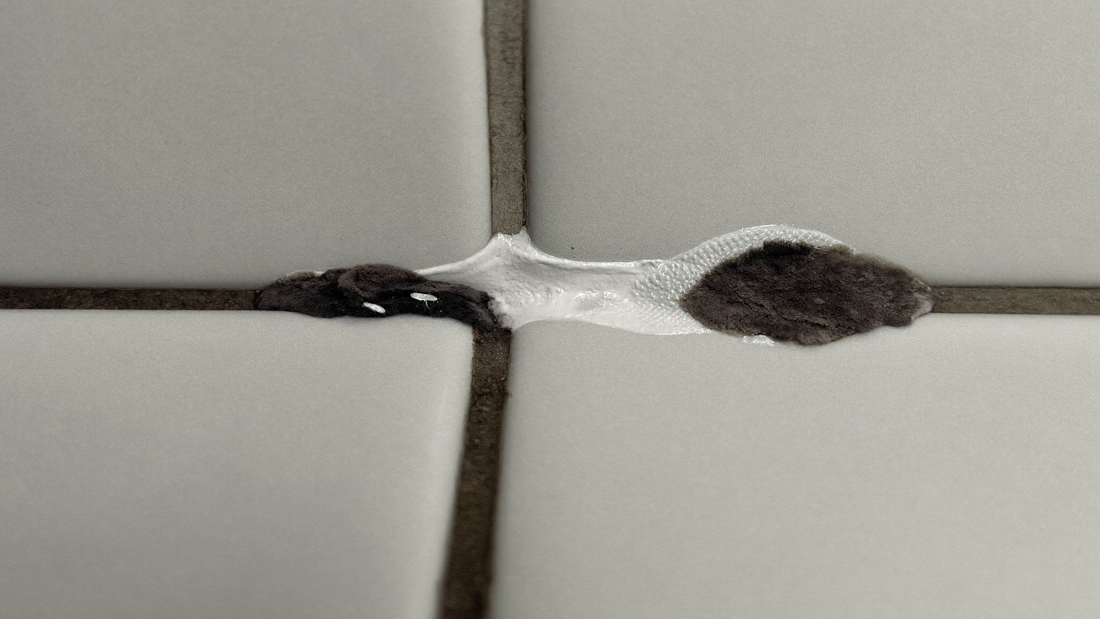 Svartmögel i badrumsfog mellan kakelplattor – närbild på svarta mögelfläckar i silikonfog